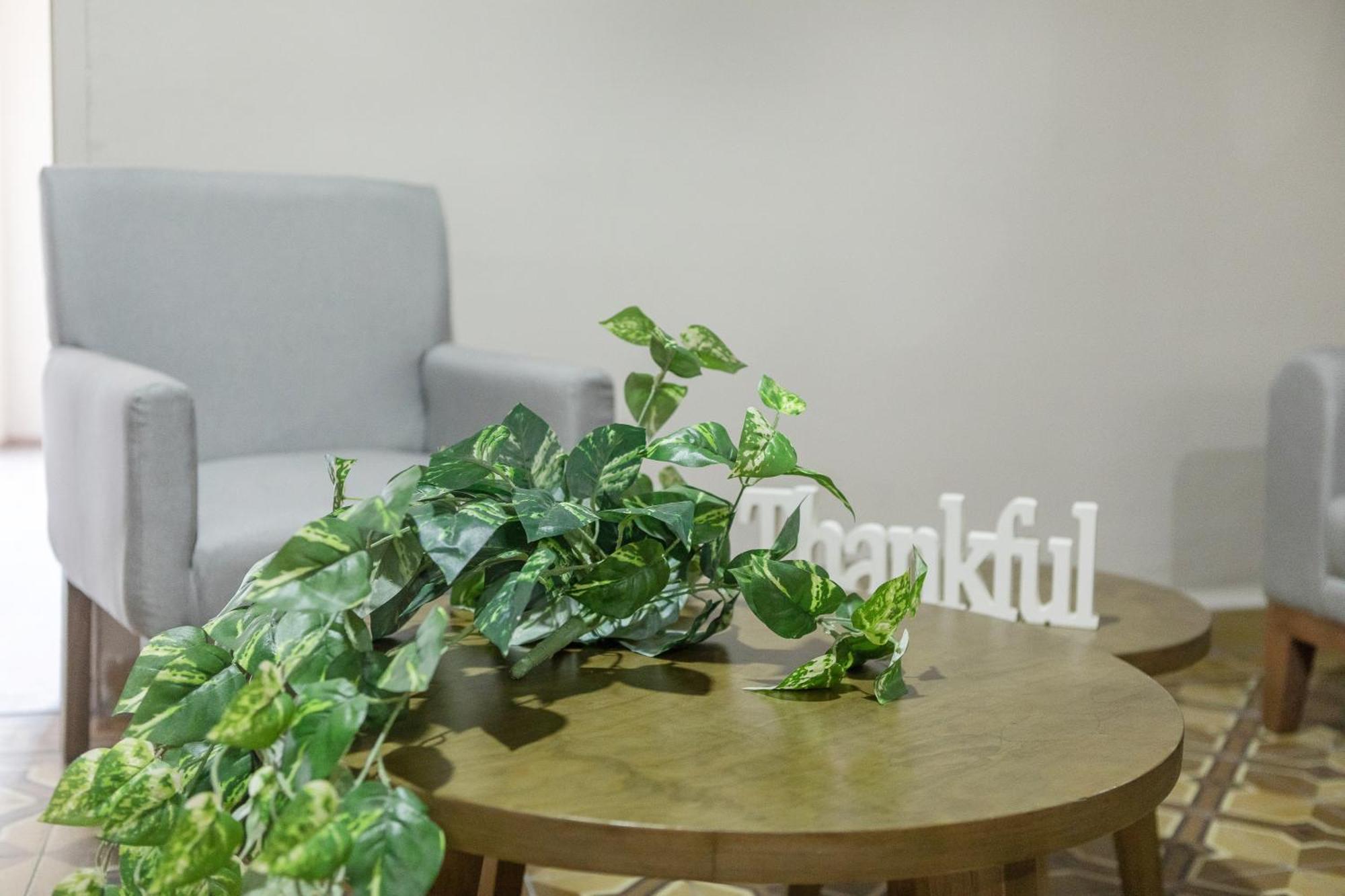 Relax In Style - Roma Norte 3Br - Fast Wifi 墨西哥城 外观 照片